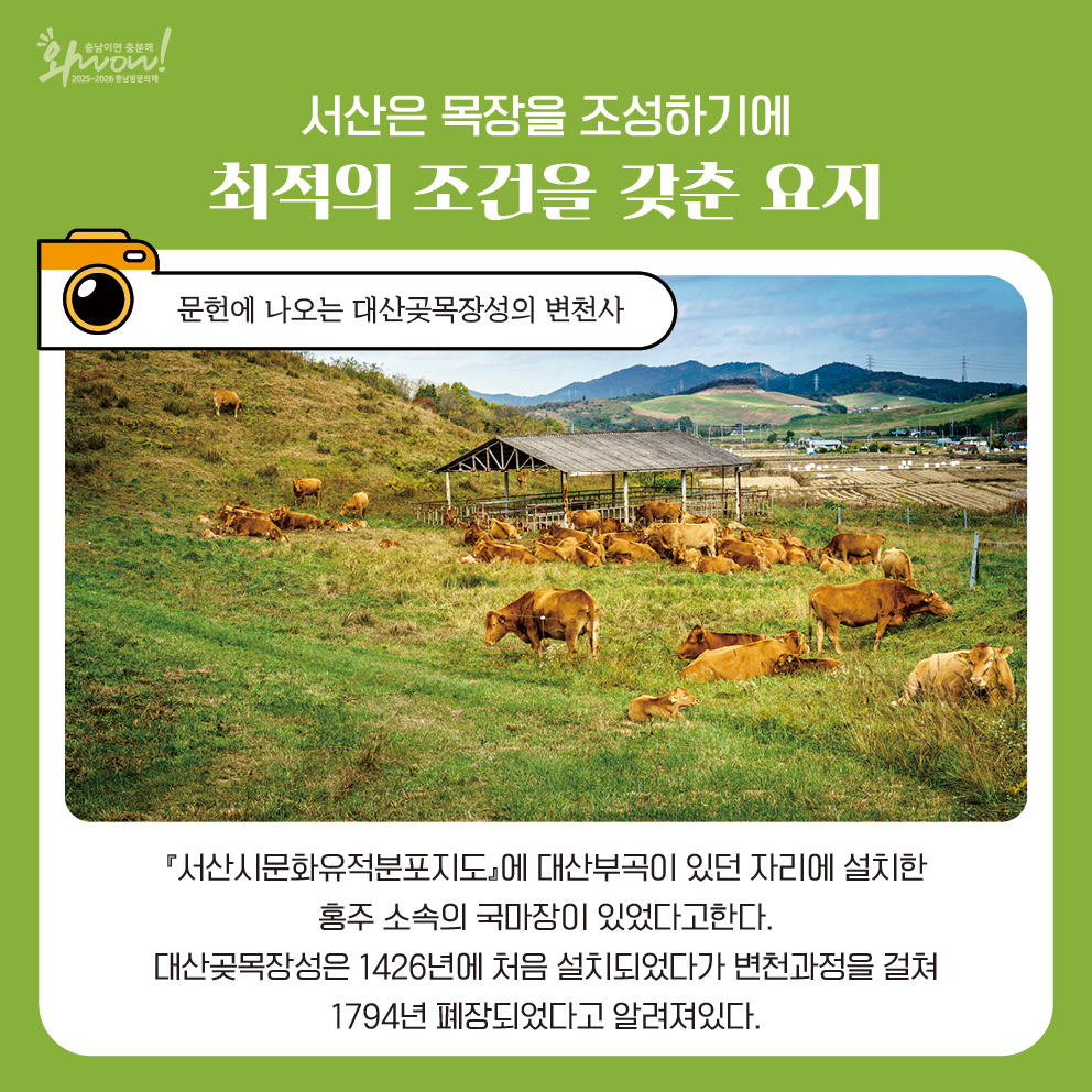 4번
