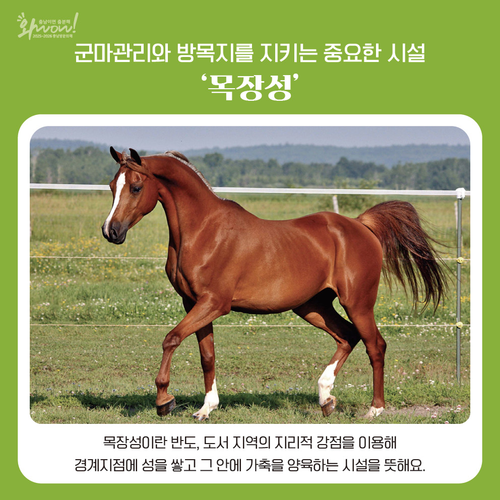 2번