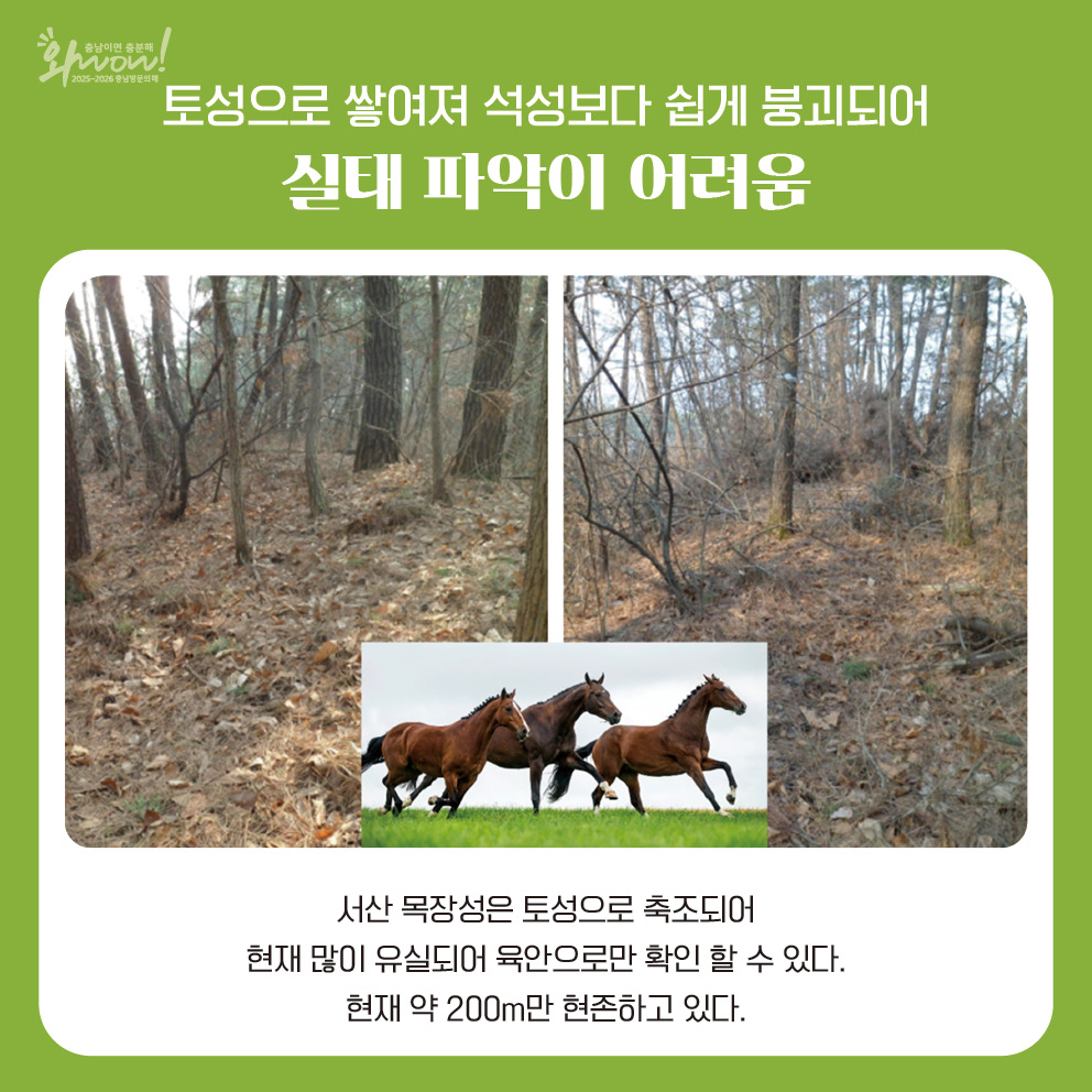 6번