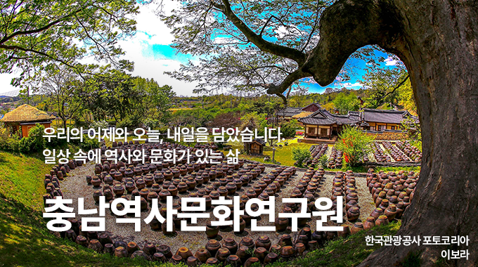 벚꽃 메인이미지